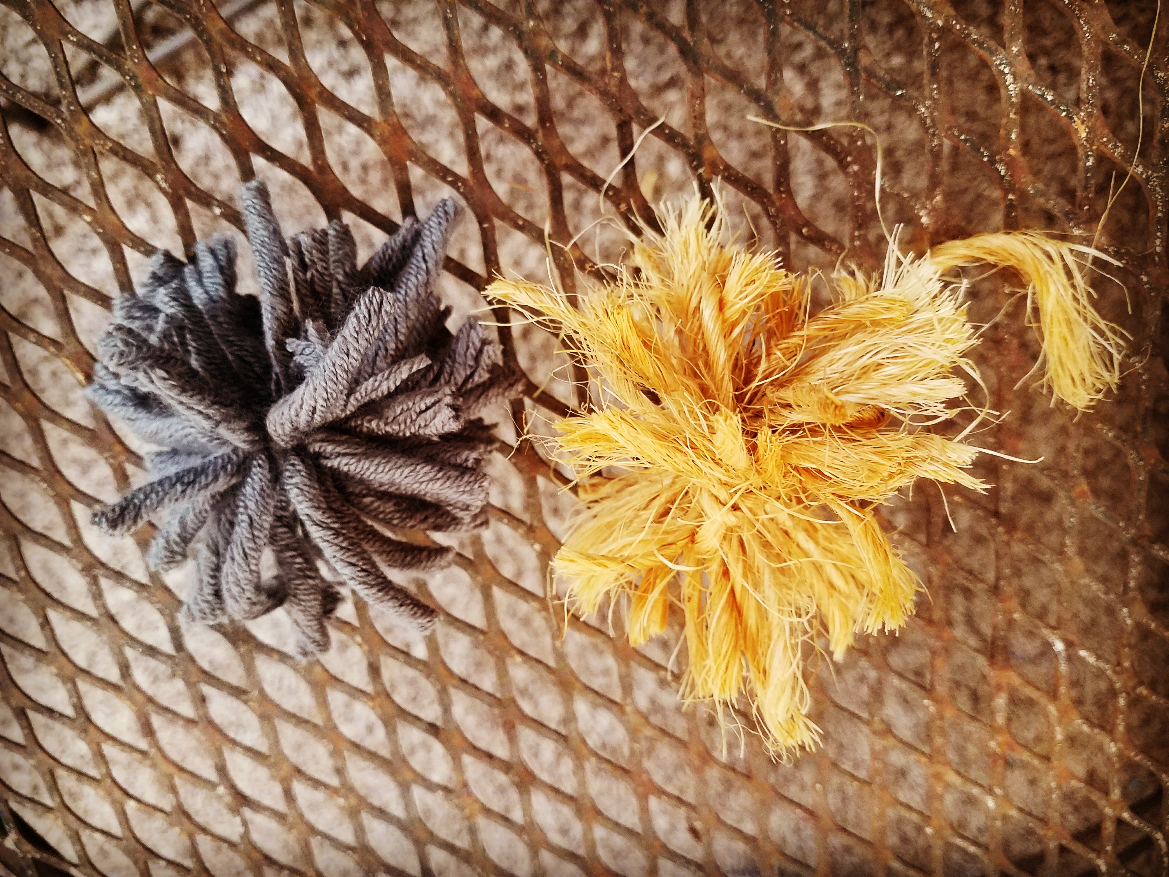 IMG_20170130_113946_947