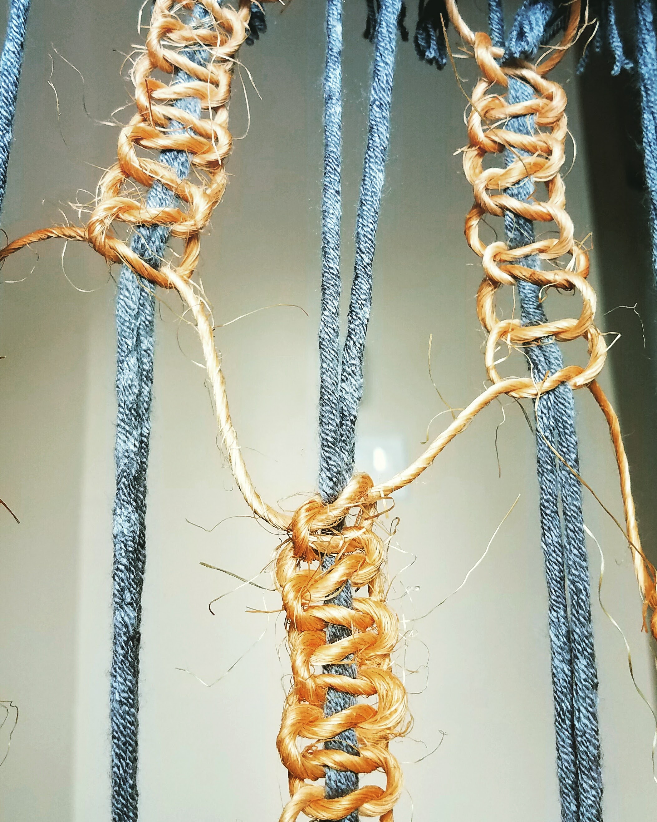 IMG_20170131_125300_717