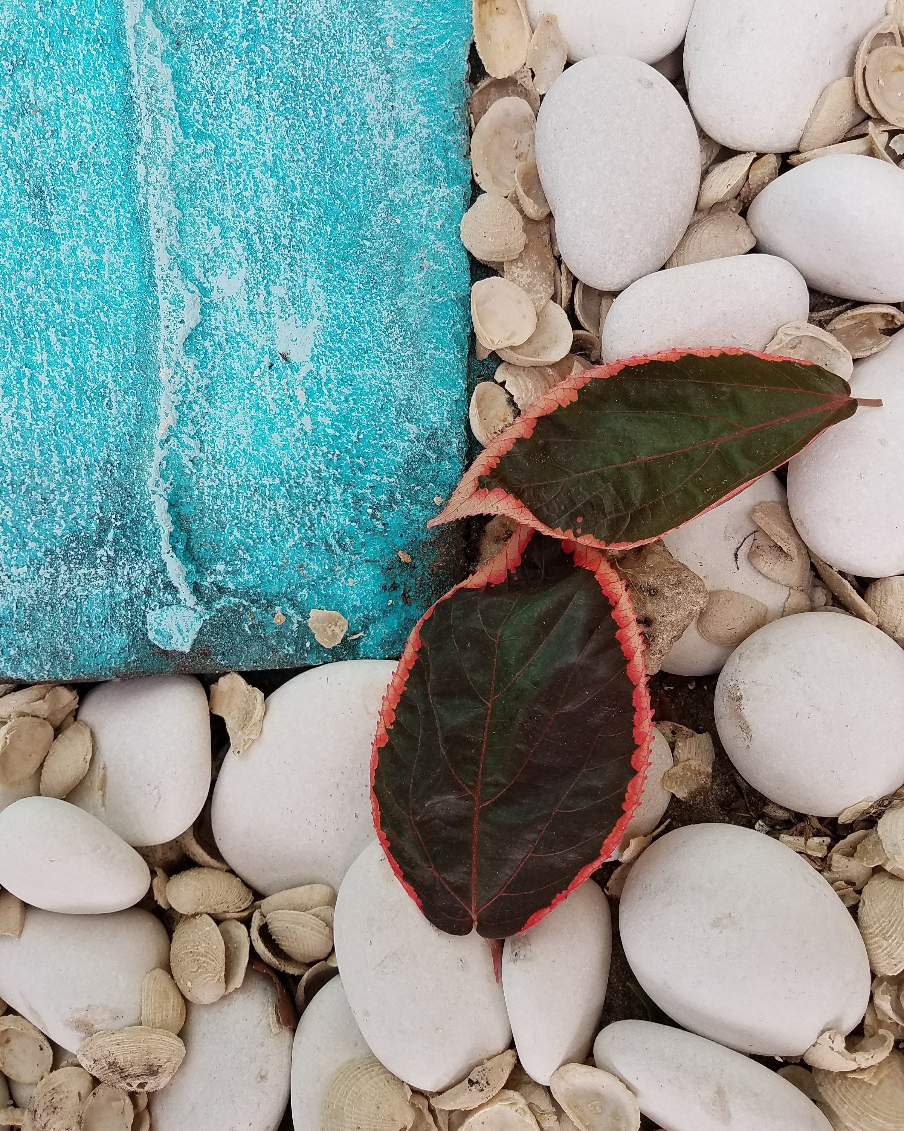 IMG_20170309_083359_776