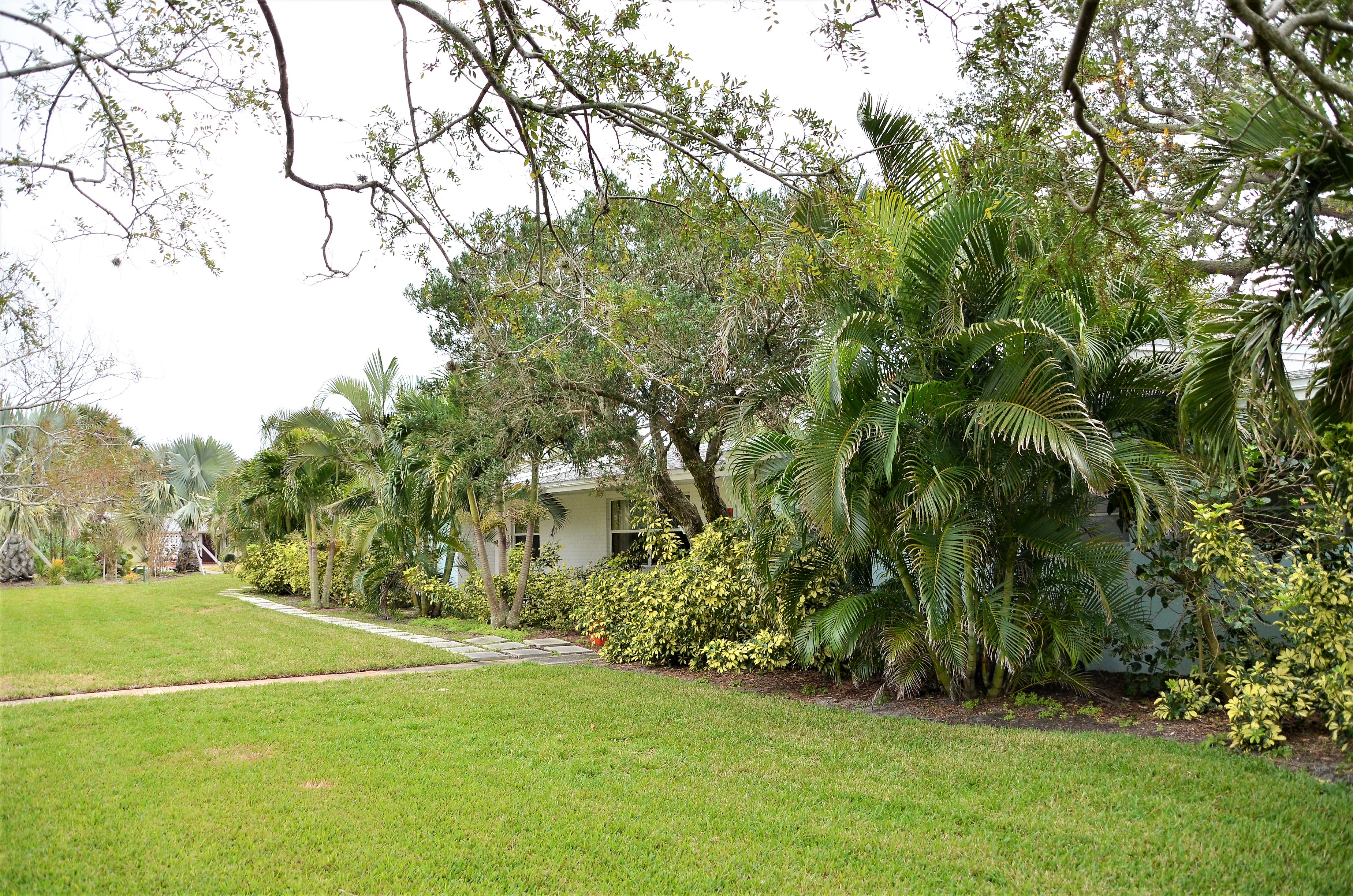 20180206_110413-DSC_0006