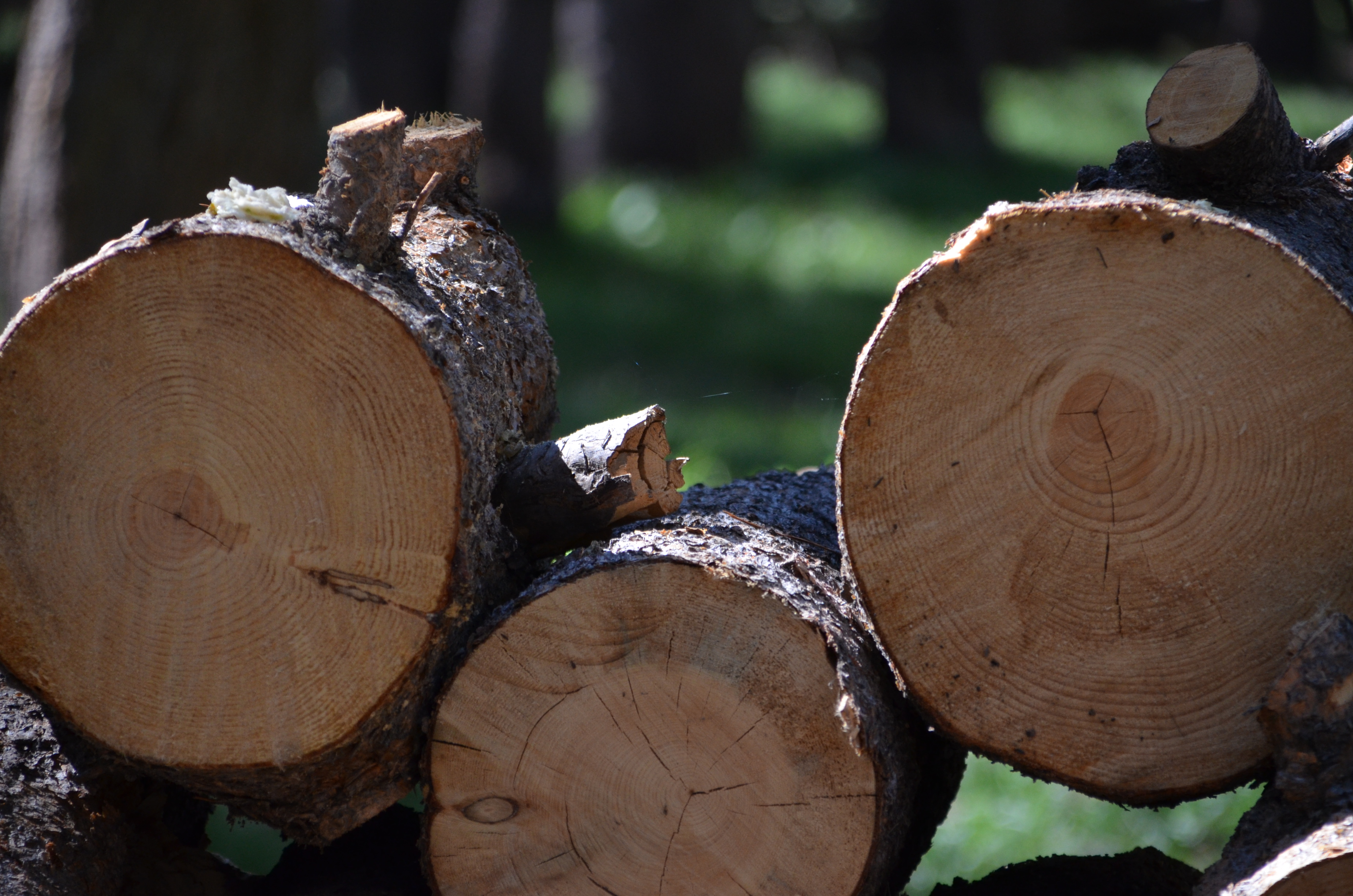 20170815_093640-DSC_0258