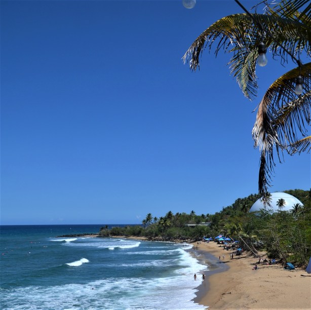 20190323_080404-DSC_0452 (2)