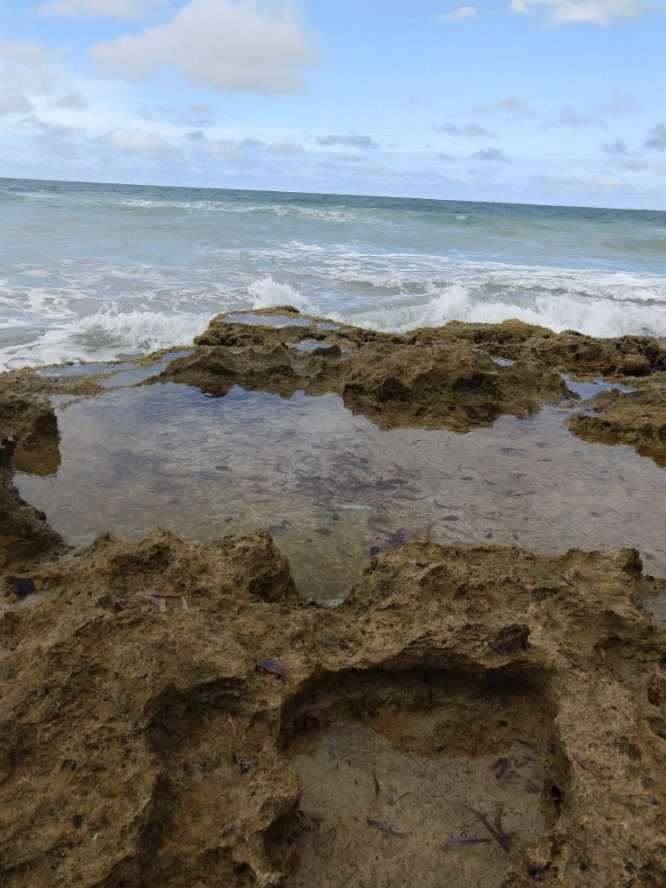 20190509_171812-ANIMATION