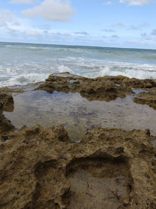 20190509_171812-ANIMATION