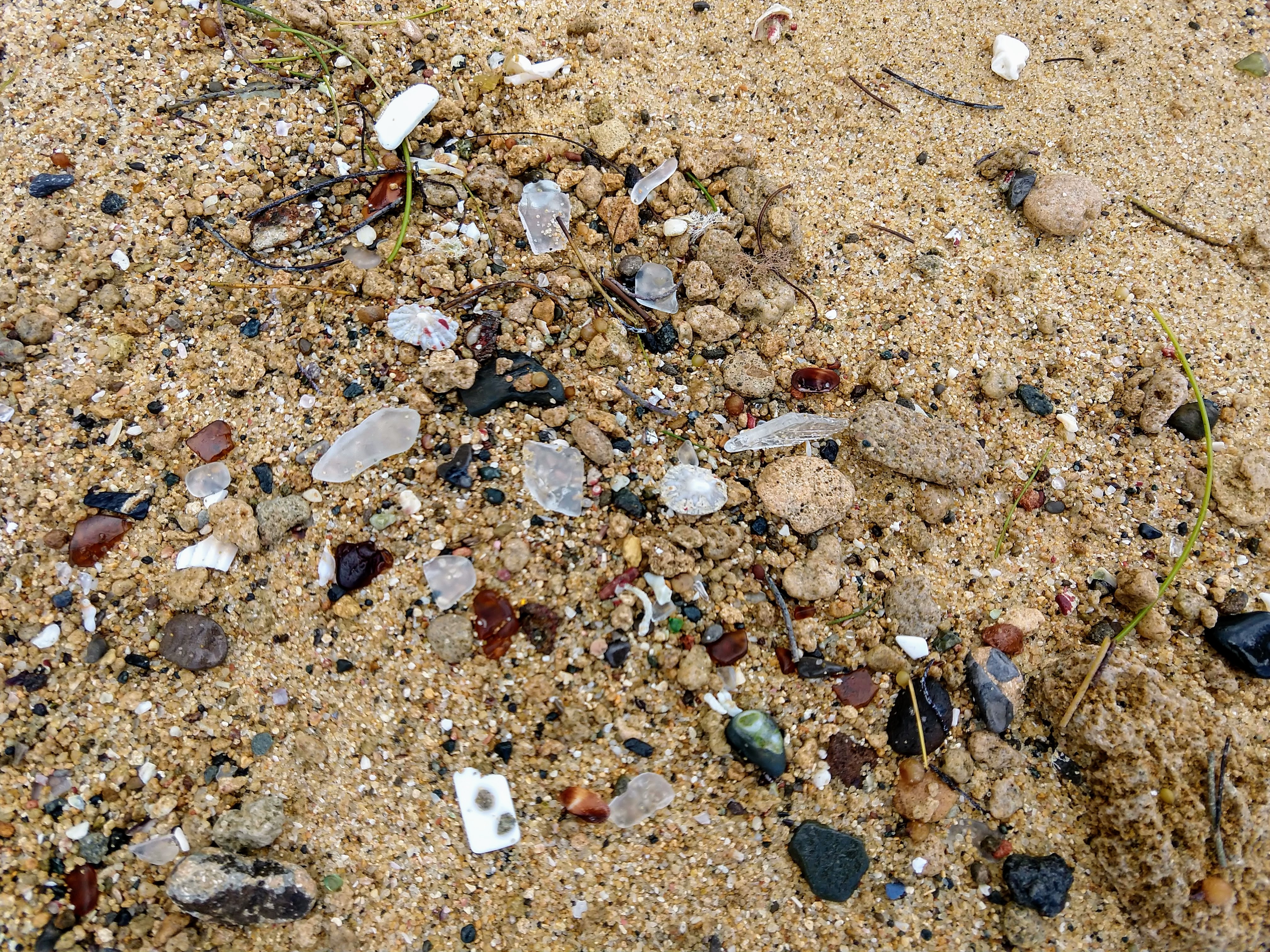 IMG_20190330_144444920_HDR