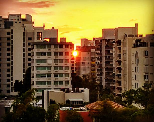 IMG_20190426_133117_353