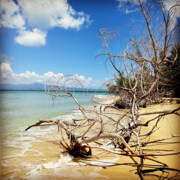 IMG_20190501_204611_357